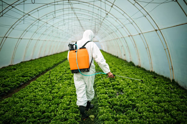 Best Pest Control for Homes  in Lafayette, TN