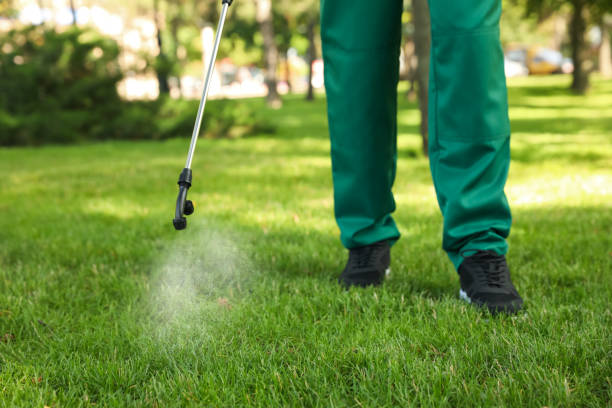Flea Control Services in Lafayette, TN