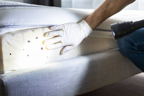 Best Pest Inspection Near Me  in Lafayette, TN