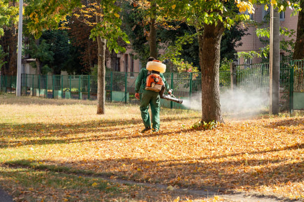 Professional Pest Control in Lafayette, TN
