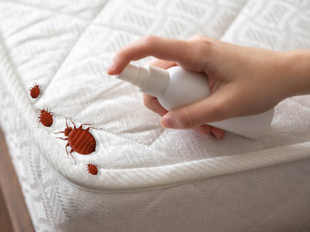 Best Flea Control Services  in Lafayette, TN