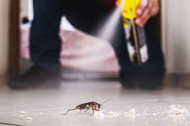 Pest Control for Restaurants in Lafayette, TN