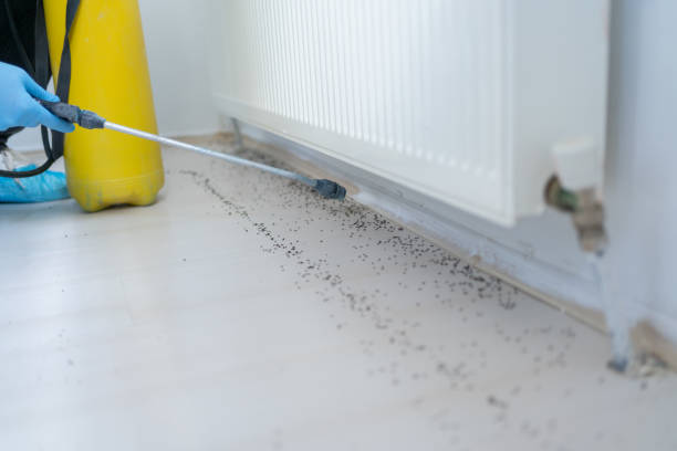 Best Pest Prevention Services  in Lafayette, TN